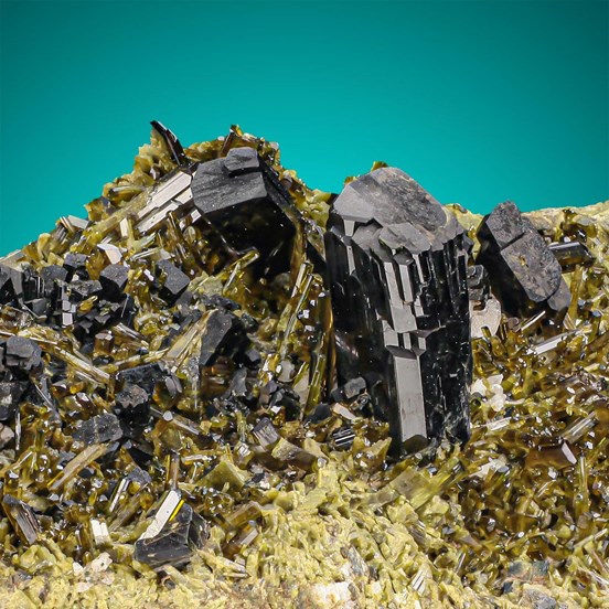 Augite-Seebachkar | Obersulzbachtal | Neukirchen a. G. | Zell am See | Salzburg | Austria